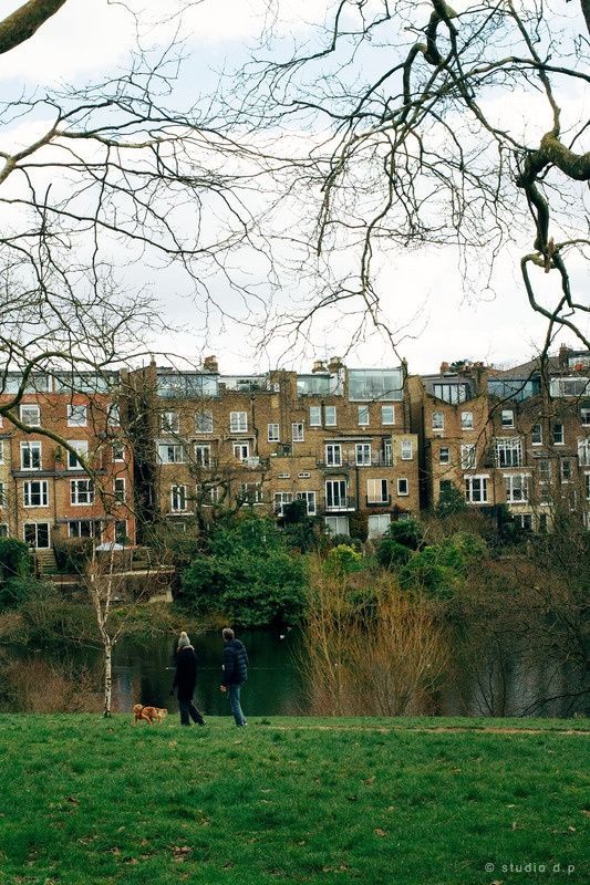 La lande de Hampstead Heath, Londres — Kodak Portra 400