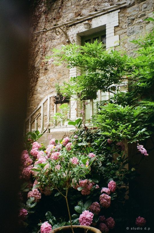 Le parc du Thabor à Rennes, Bretagne — Kodak Portra 400